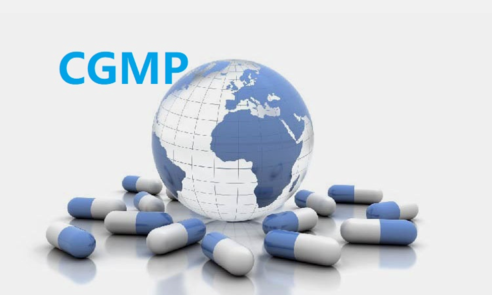 cGMP pharmaceutical quality inspection